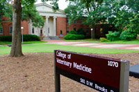 UGA College of Veterinary Medicine